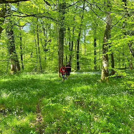 Maison Chaleureuse Avec Jardin - Pause Normande