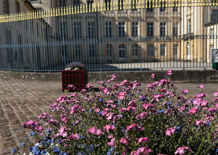 Maison Chaleureuse Avec Jardin - Pause Normande *