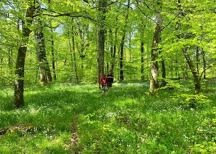 Maison Chaleureuse Avec Jardin - Pause Normande